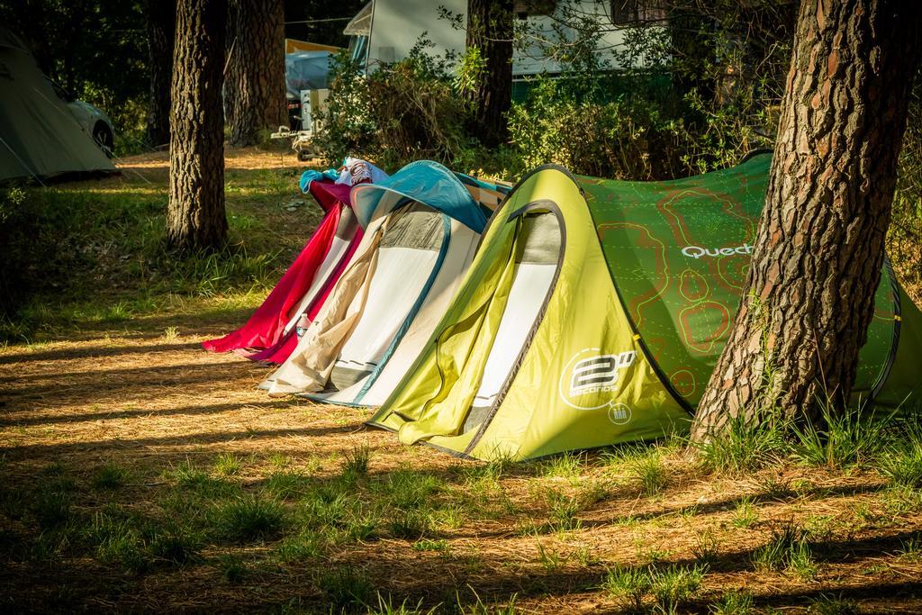 Camping La Sousta**** Otel Remoulins Dış mekan fotoğraf